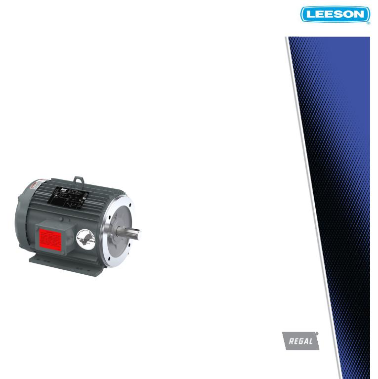 Leeson LM34221 Product Information Packet