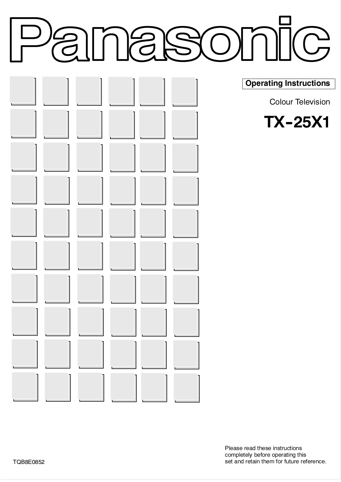 Panasonic TX-25X1 User Manual