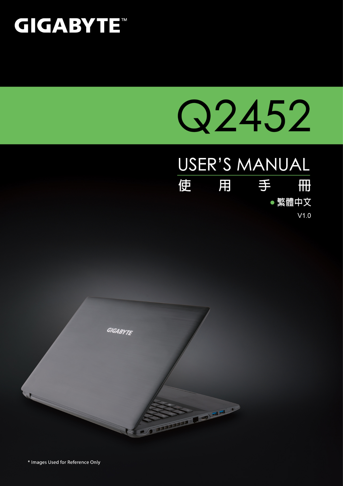 Gigabyte Q2452M, Q2452H User Manual