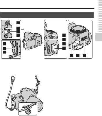 Sony SLT-A57 Instruction Manual