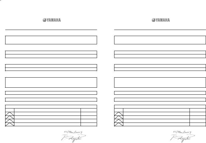 Yamaha FZ1-N, FZ1-NA User Manual