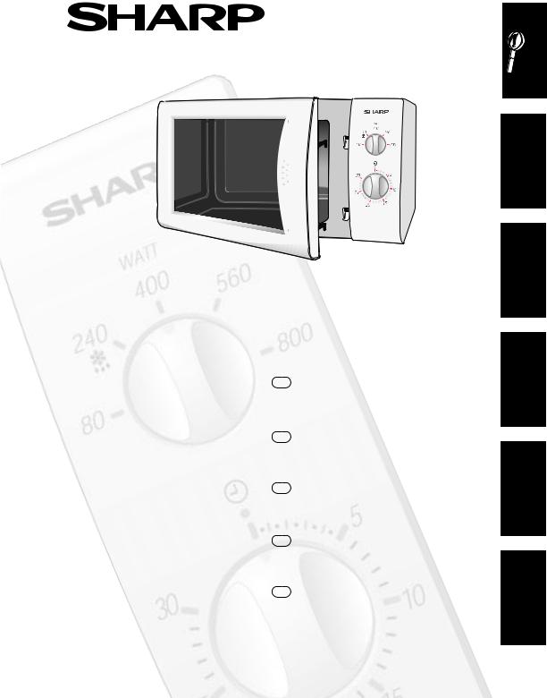 Sharp R-202 Manual