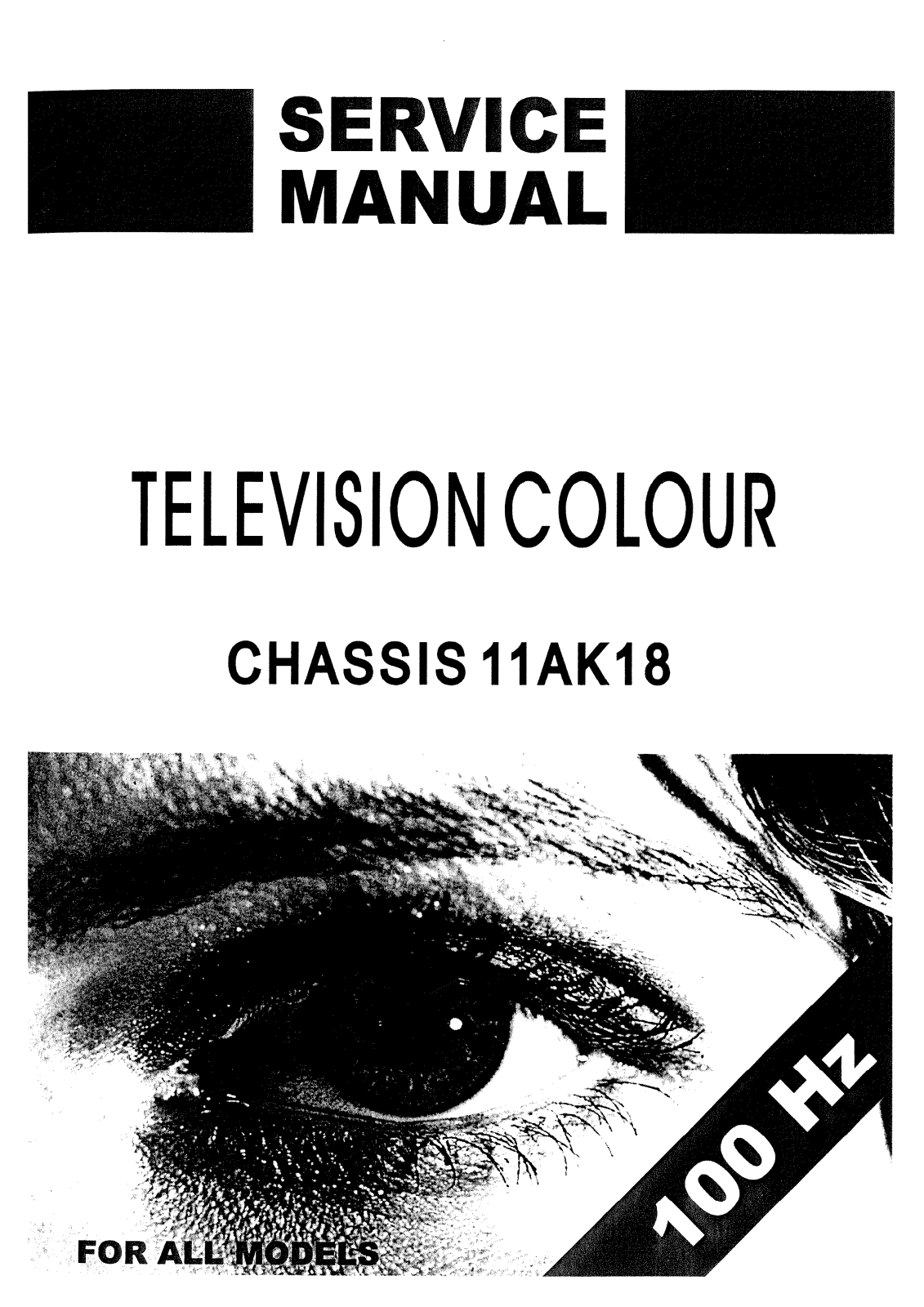 VESTEL 11AK18 Service Manual