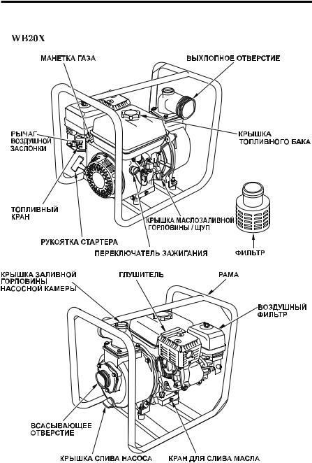 Honda WB30XT User Manual