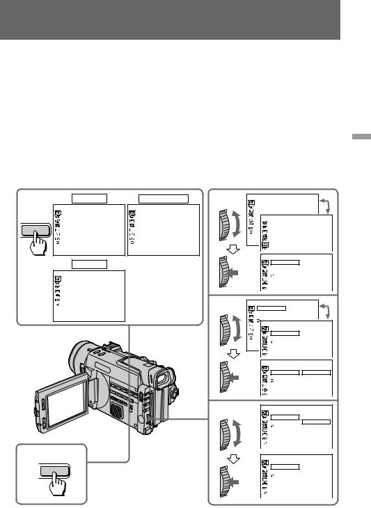 SONY DCR-TRV900 User Manual