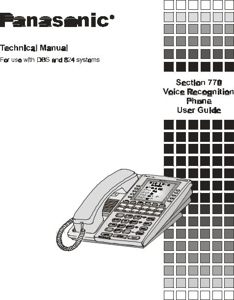 Panasonic DBS Section 770 User Guide