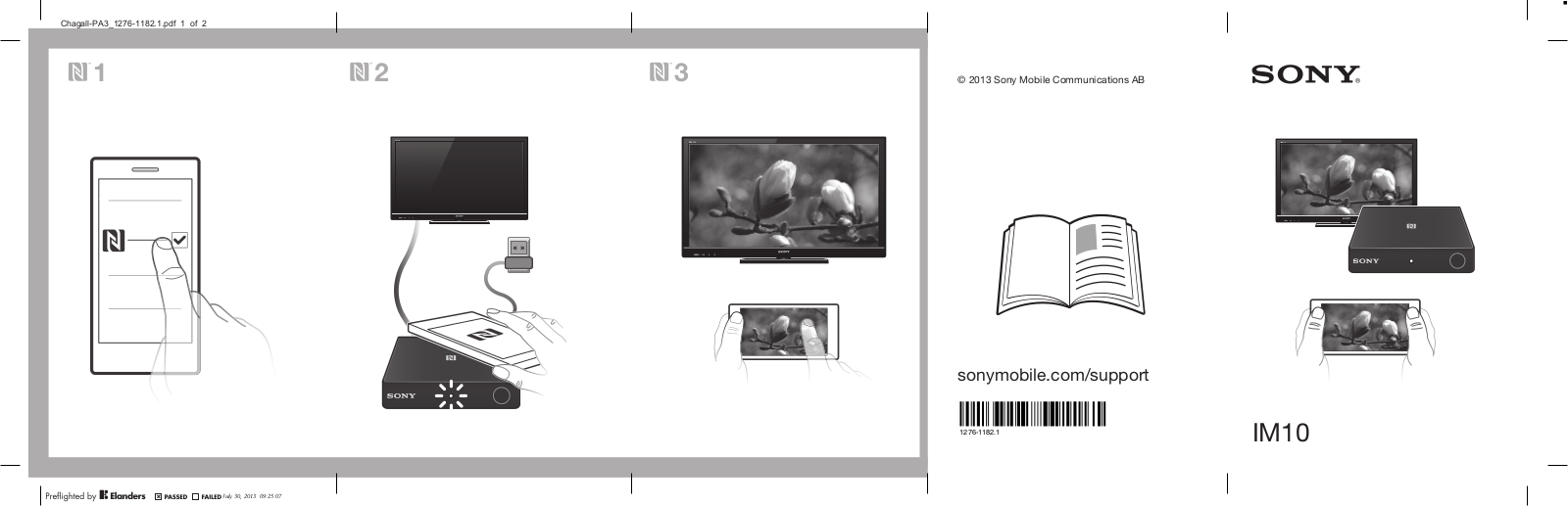 Sony RW0100 User Manual