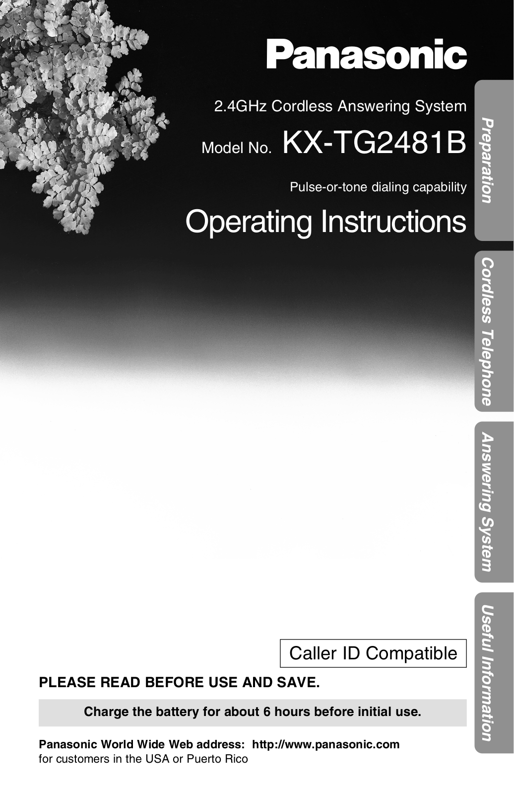 Panasonic 96NKX TG2481 Users Manual