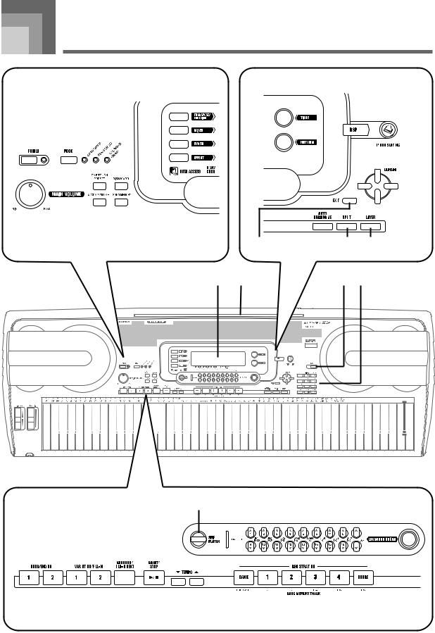 Casio WK-3800, WK8000, WK-3300 User Manual