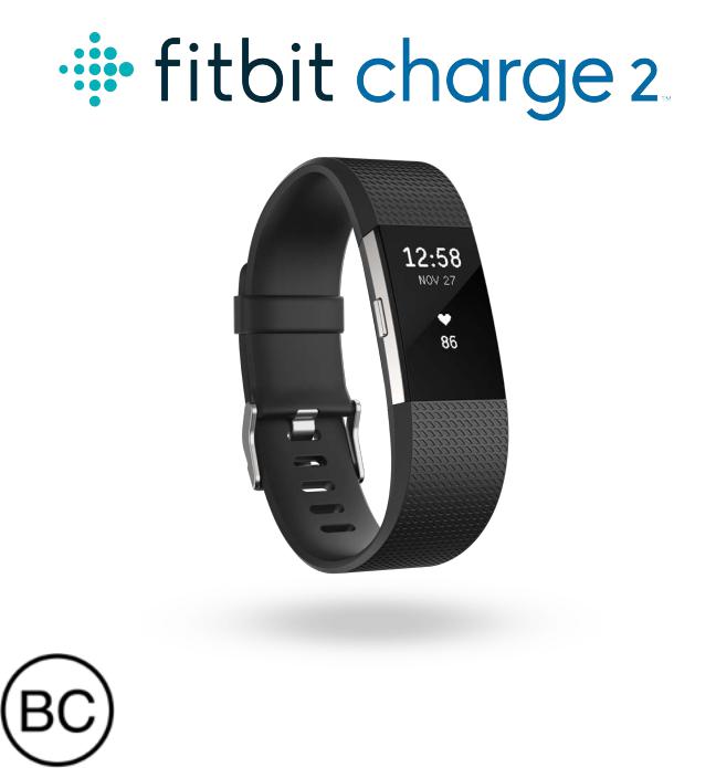 Fitbit FB407 User Manual