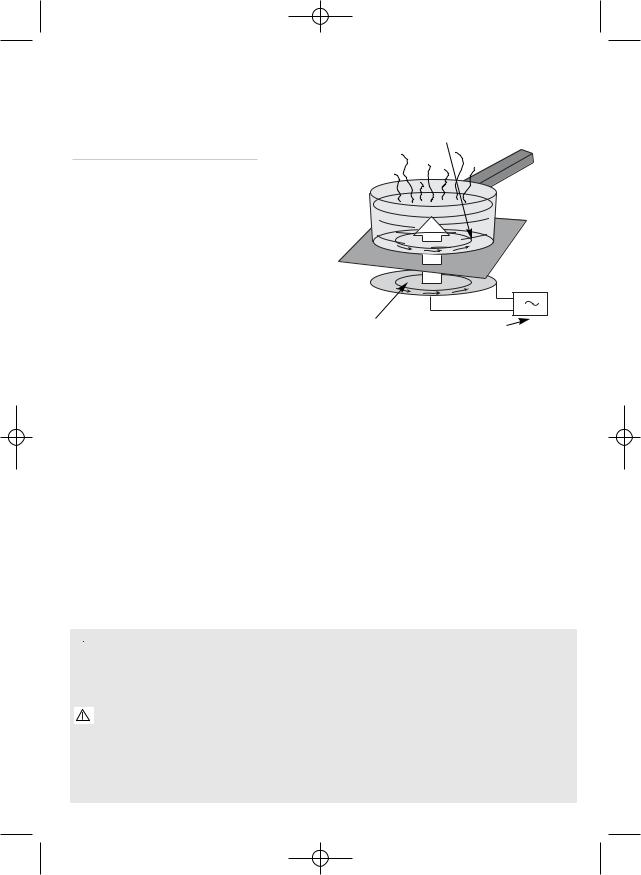 BRANDT TI201, TI210B User Manual