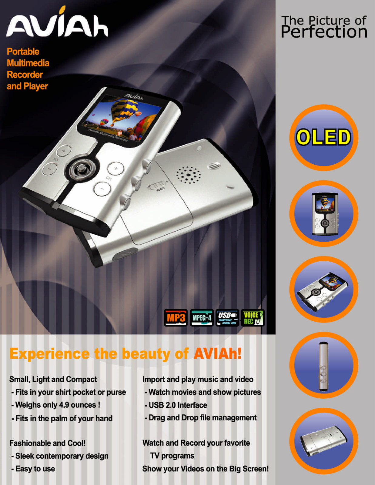 Ovideon Portable Multimedia Recorder and Player User Manual