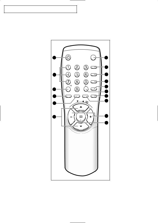 Samsung CT-21V10MN User Manual