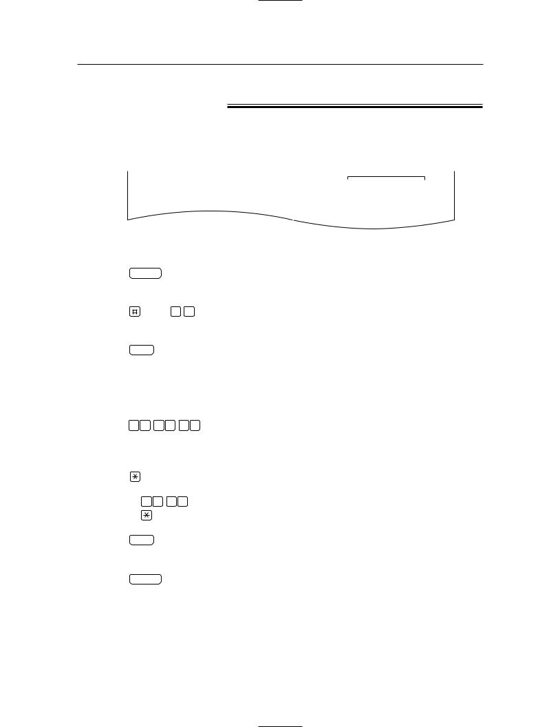 Panasonic of North America 96NKX FG2451 User Manual