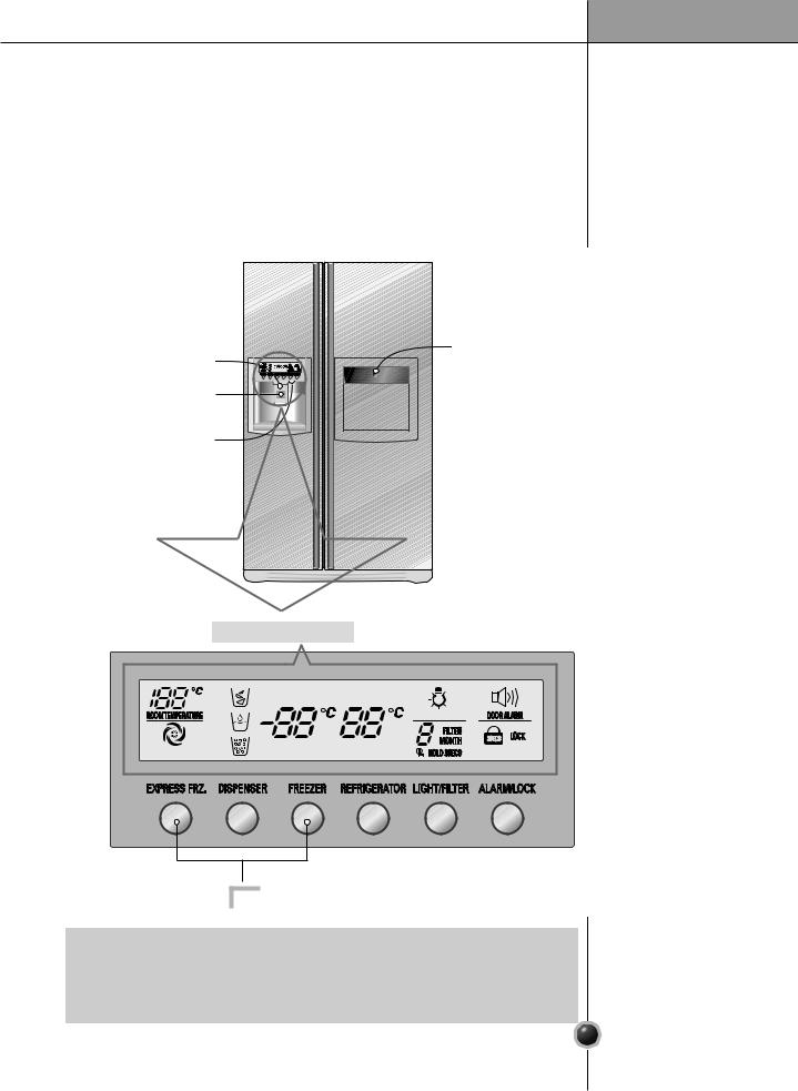 Lg GR-P307-STB User Manual