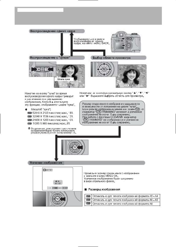 Fujifilm FinePix S5000 User Manual