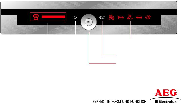 AEG B9878-5 User Manual