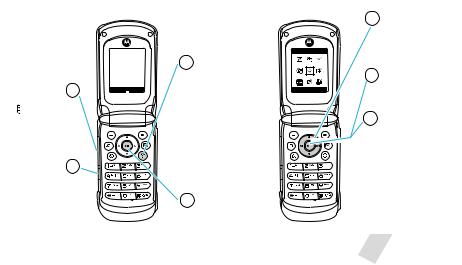 Motorola P56JJ1 Users manual