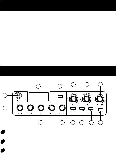 Mooer HORNET 15 User manual