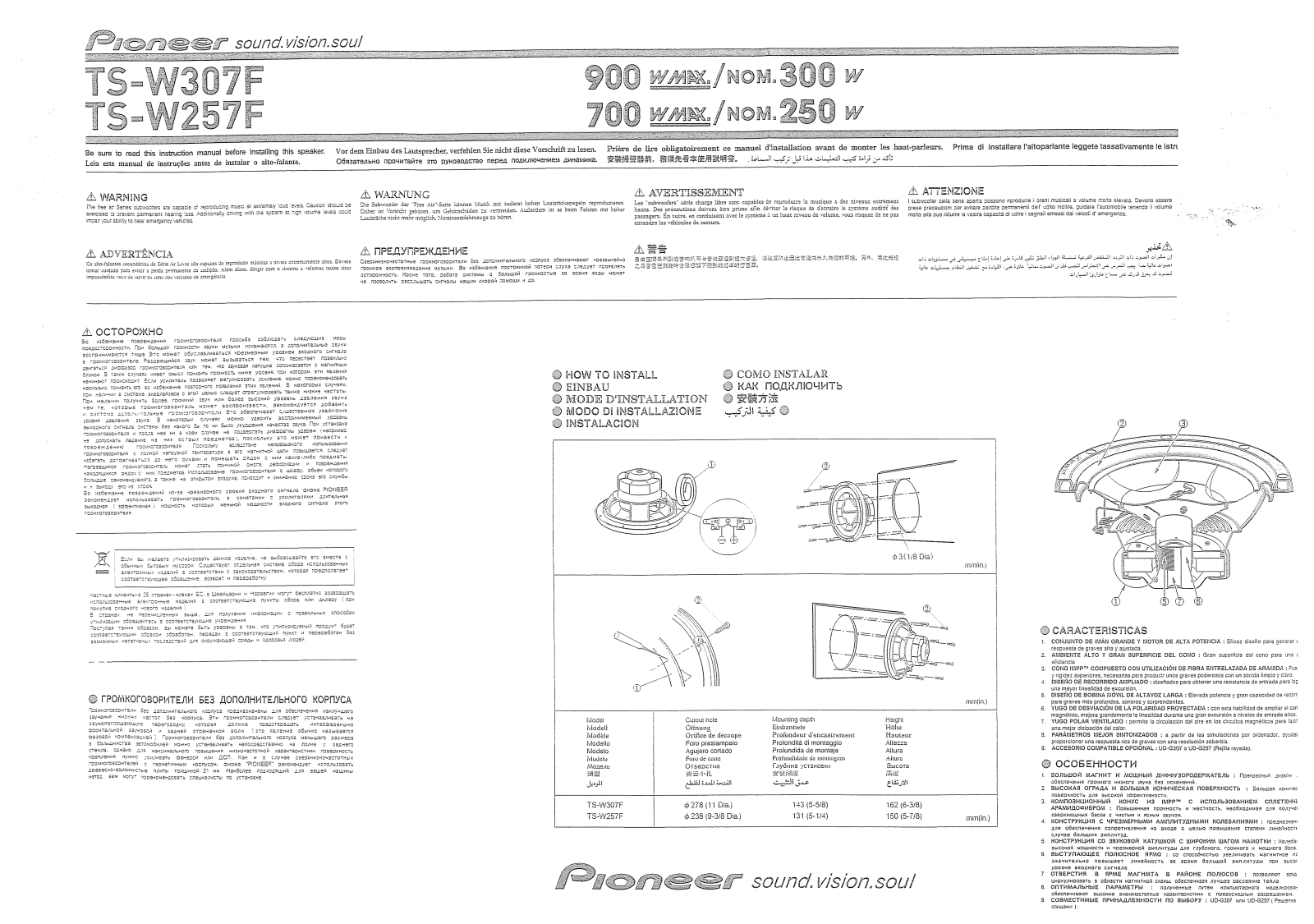 Pioneer TS-W307 F User Manual