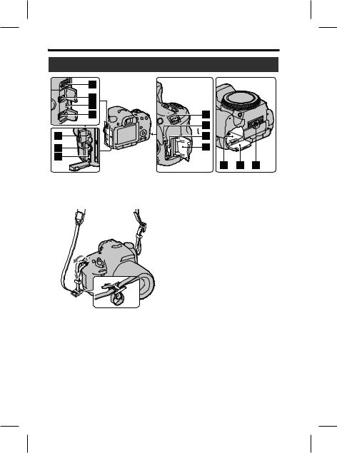 Sony SLT-A65V, SLT-A65 User Manual