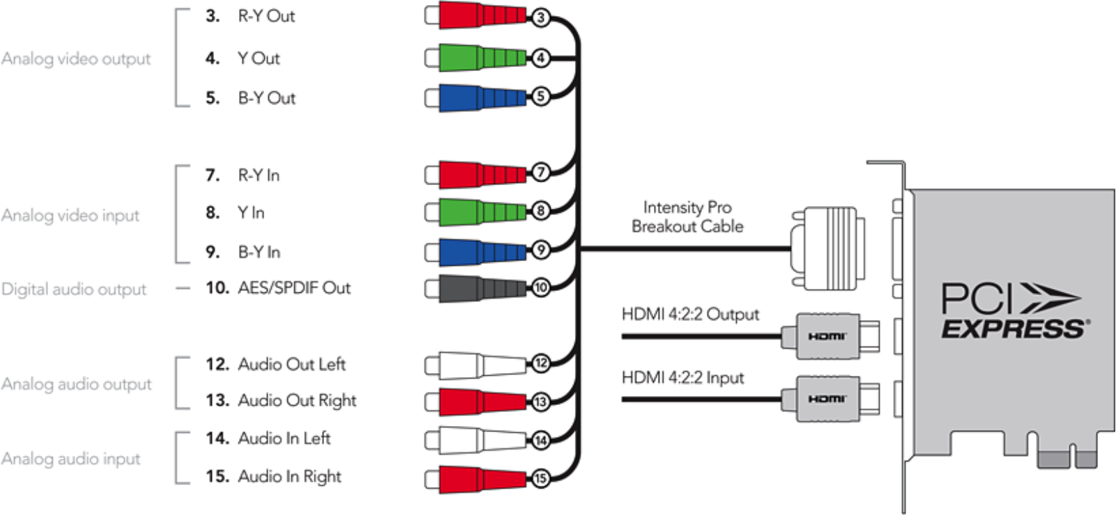 Blackmagic Design Intensity Pro 4K Diagram