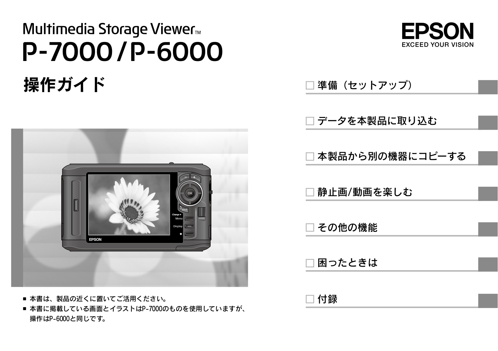 Epson P-6000 User Manual