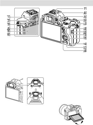 Sony Alpha A7R Mark III User Manual