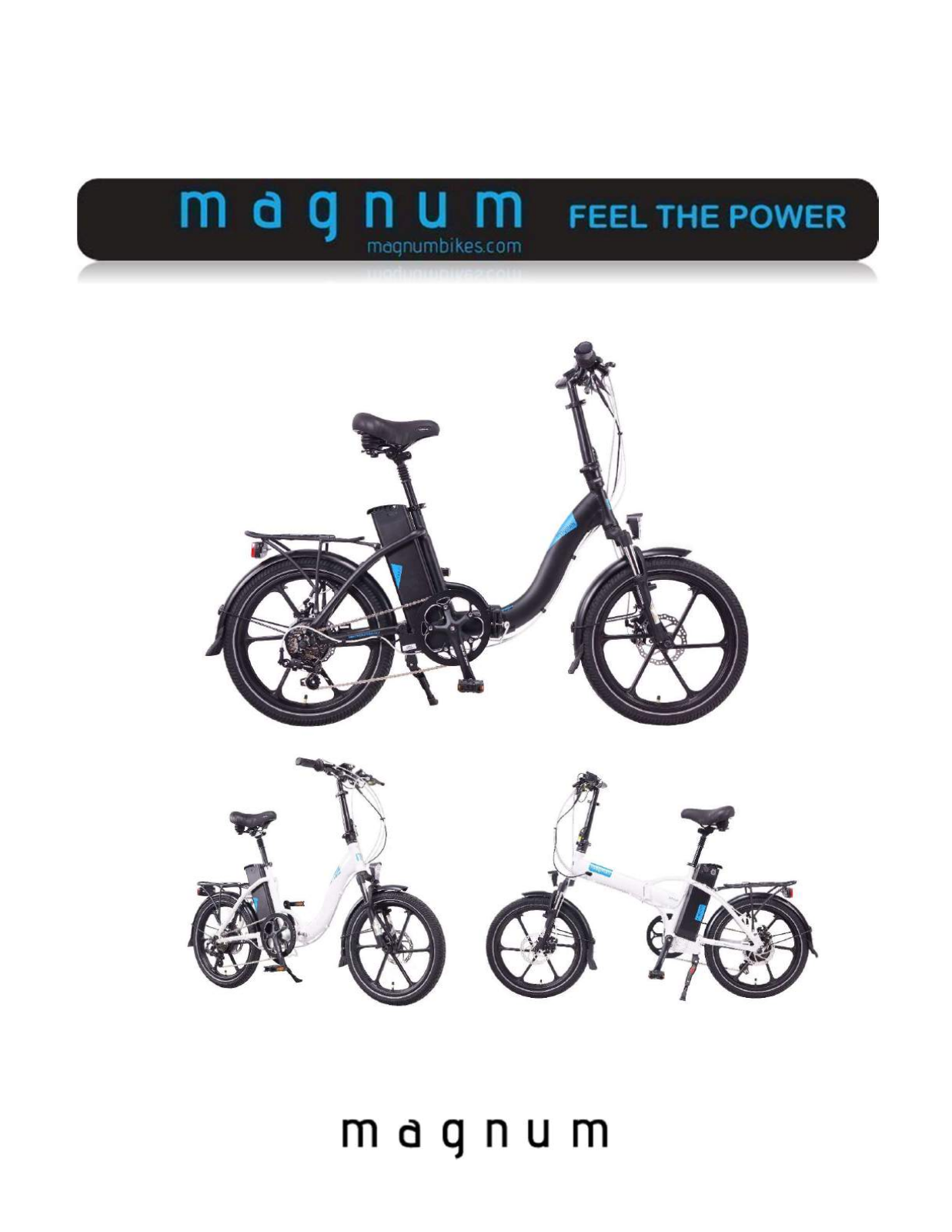 Magnum Premium 48V 500W Owner's Manual