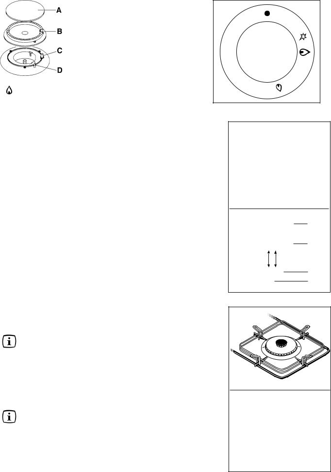 AEG 66GS User Manual