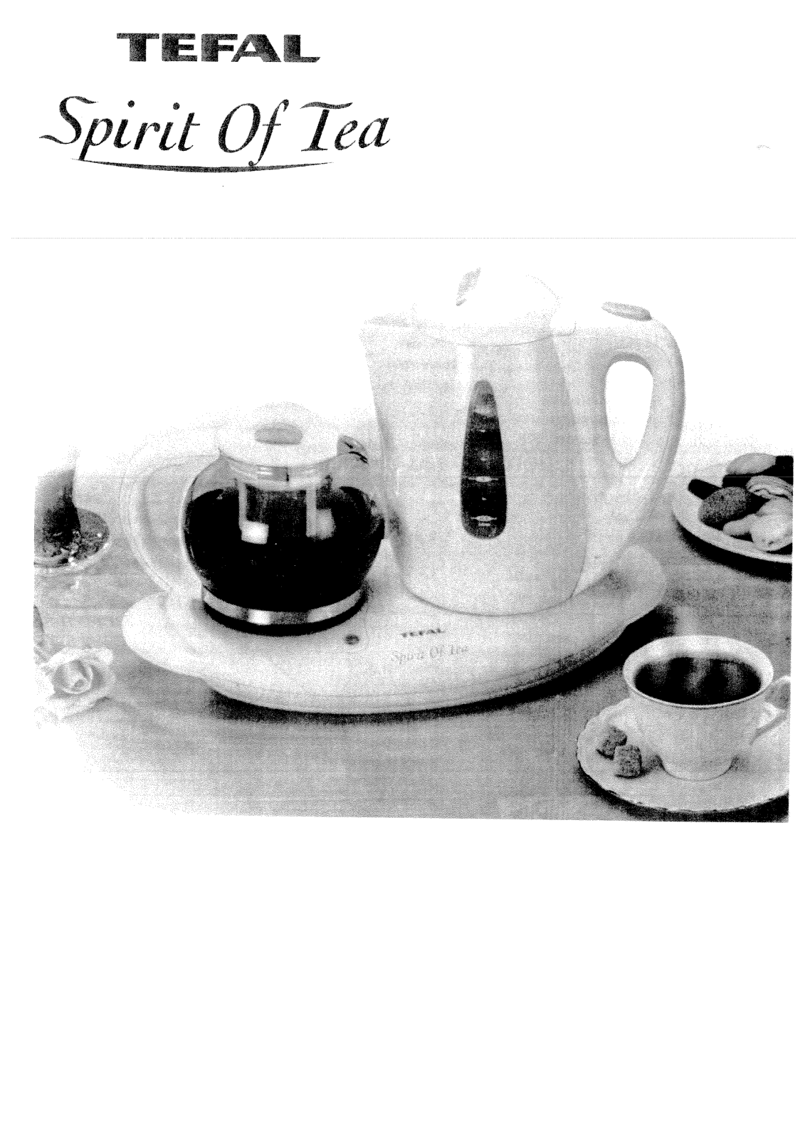 Tefal 91943 User Manual