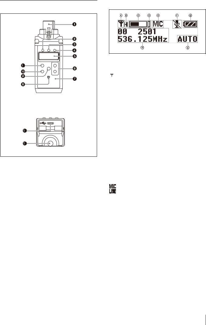 Sony UTXP40 User Manual