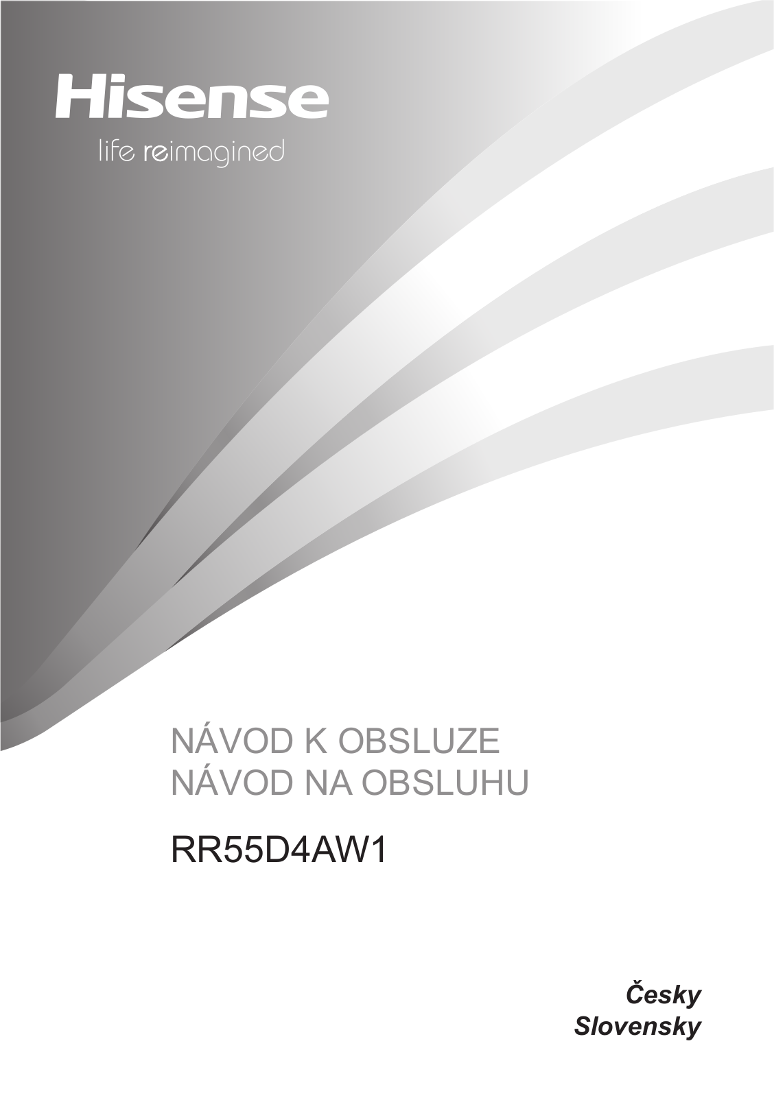 Hisense RR55D4AW1 User Manual