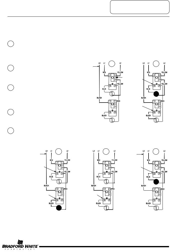 Bradford-White M-2-50T6DS User Manual
