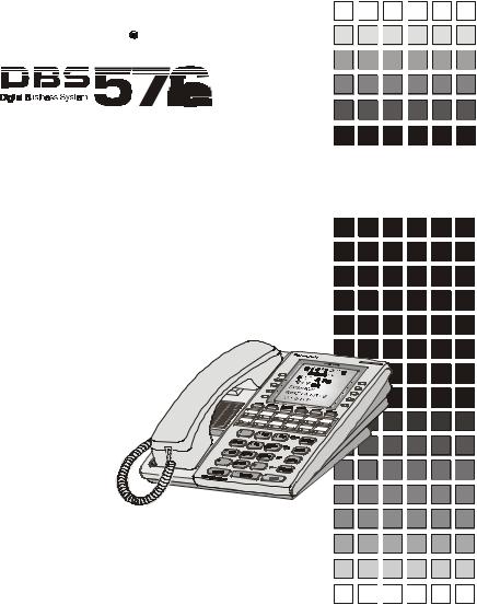 Panasonic DBS-576 User Manual