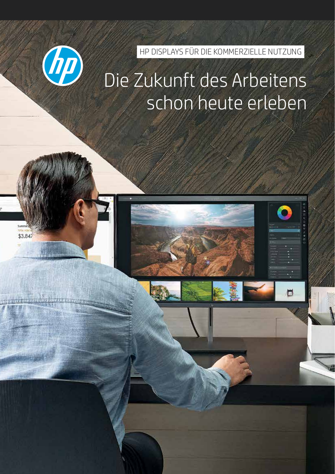 HP E243d User Manual