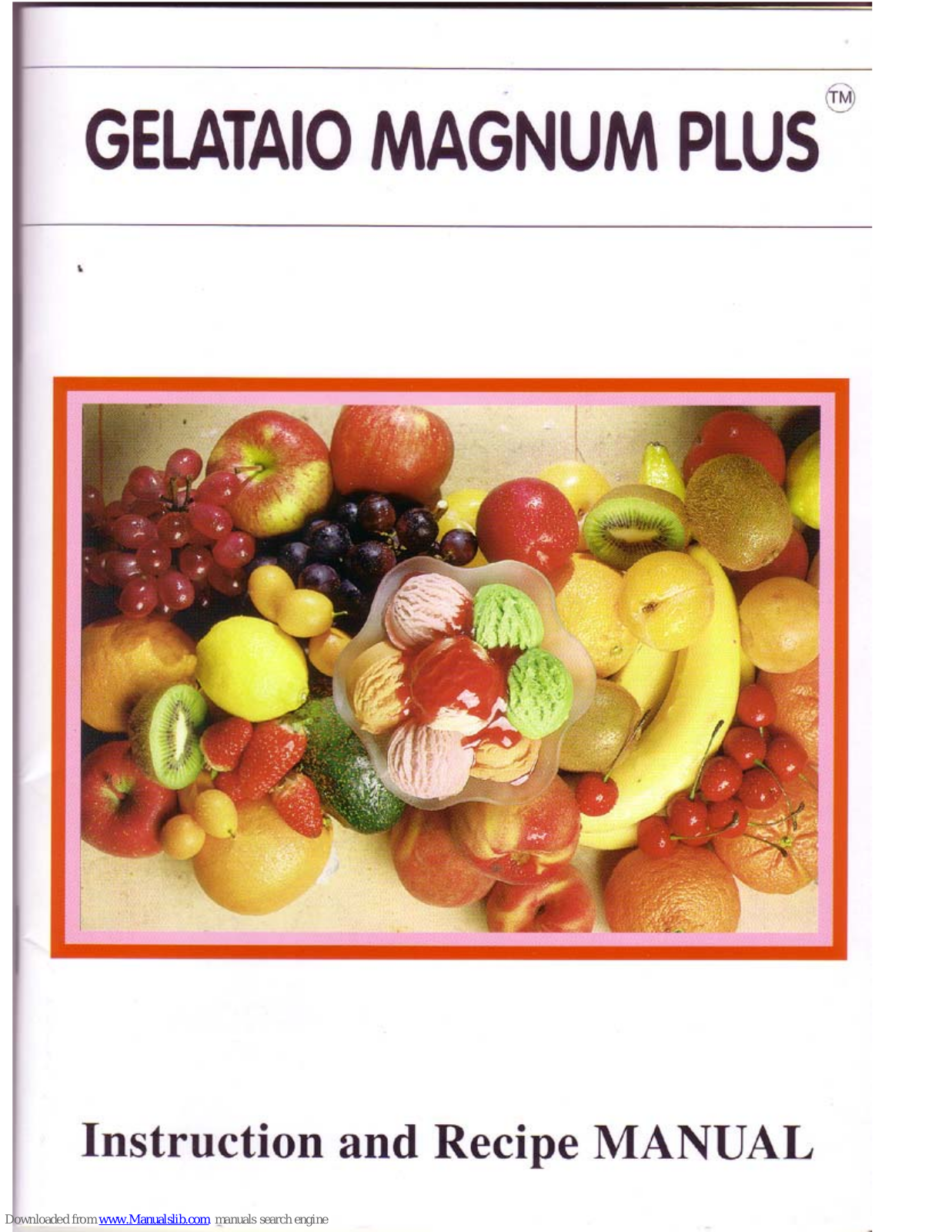 DeLonghi GC4000, Gelatio Magnum Plus User Manual