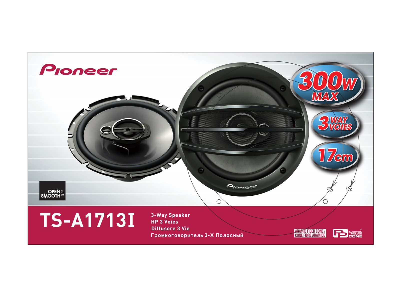 Pioneer TS-A1713I User Manual