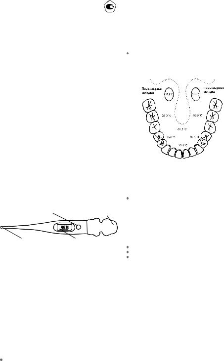 B.Well WT-06 flex User Manual