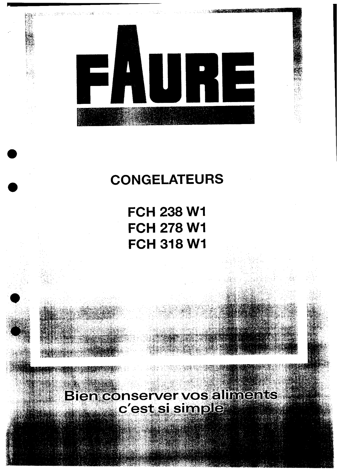 FAURE FCH238W User Manual