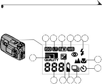 Kodak DX4900 User Manual