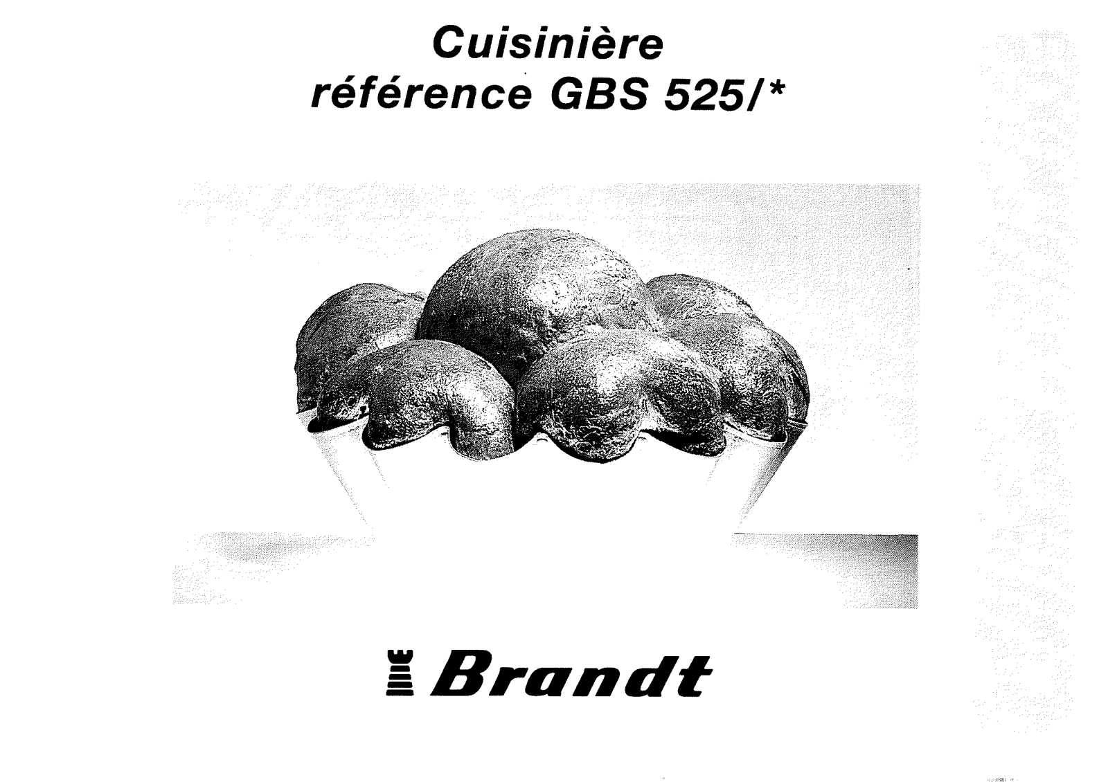 BRANDT GBS525 User Manual