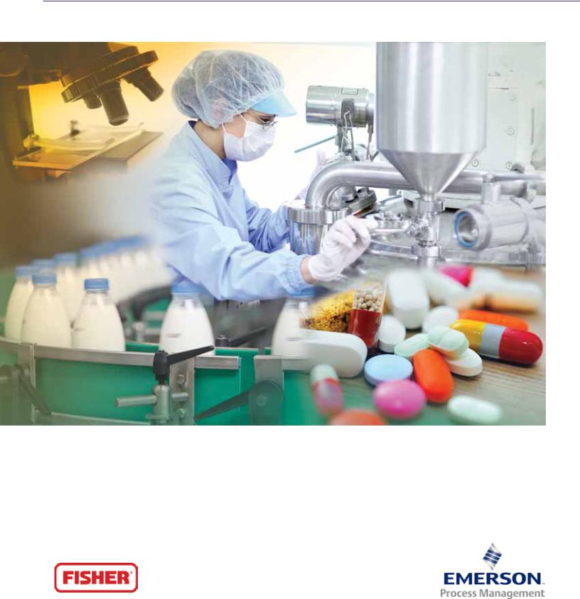 Emerson Fisher Vee-Ball V150, Fisher HP-EH, Fisher easy-e ED, Fisher easy-e ET, Fisher easy-e EW Brochure