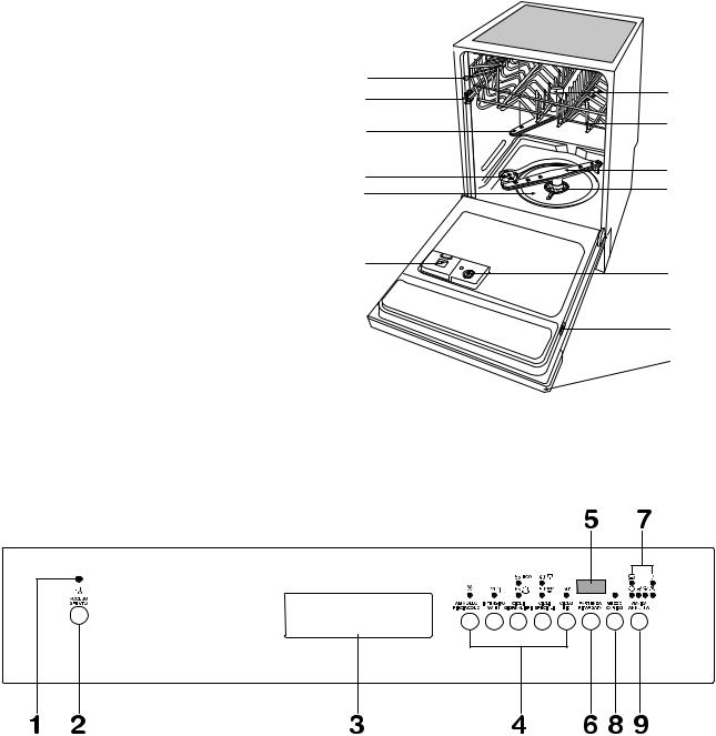 Rex TP12NE, TP12XE User Manual