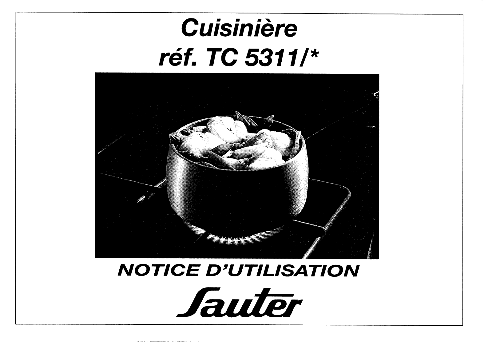 Sauter TC5311 User Manual