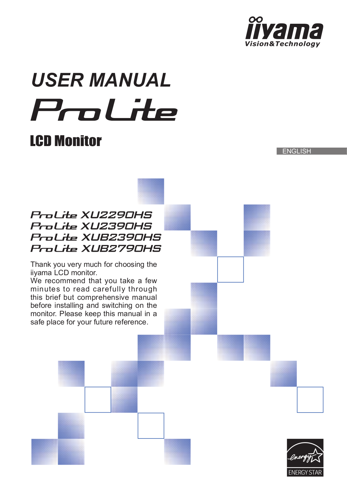 iiyama Pro Lite User Manual