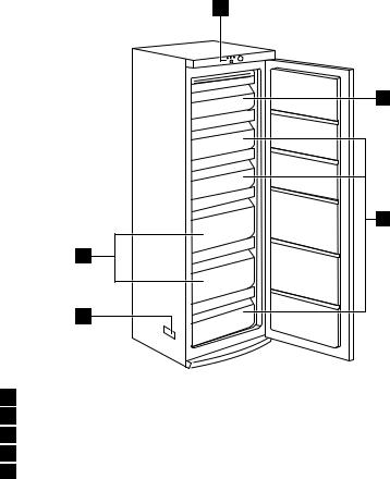 AEG AGS1981 User Manual