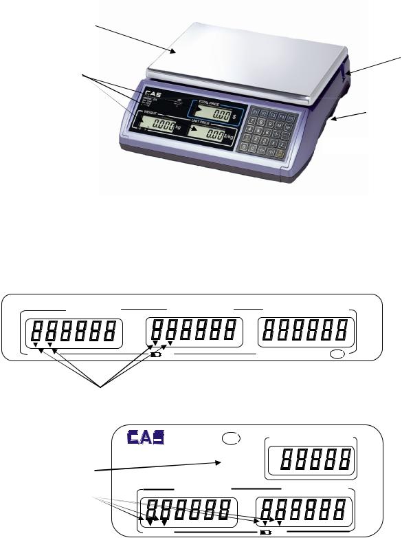 Cas ER-06, ER-15, ER-30 User manual