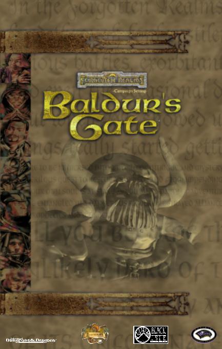 Baldur's Gate Baldur's Gate User Manual