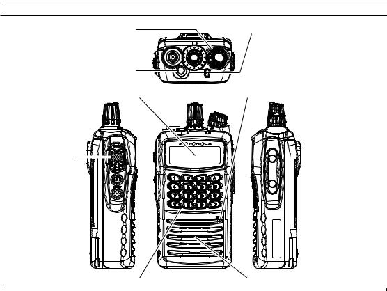 Motorola VX-451, VX-459, VX-454 User Manual